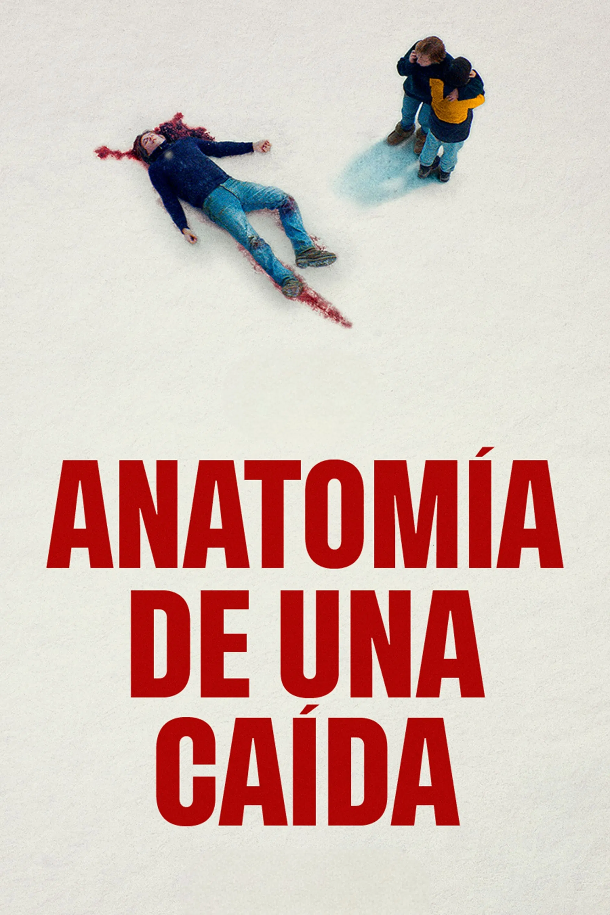 Cartel de Anatomía de una caída